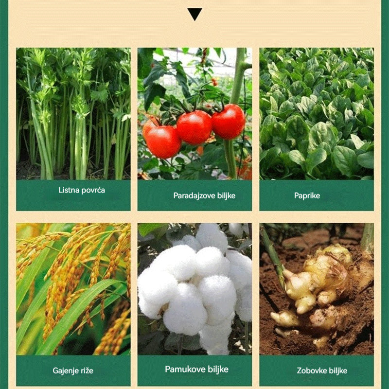 【50% POPUSTA】🌿🌿Vodikom topivo gnojivo bogato klorofilom za prihranu lišća cvijeća, voćki i povrća. Potiče rast korijena, razvoj sadnica i povećava prinos. Idealno vodotopivo poljoprivredno gnojivo.