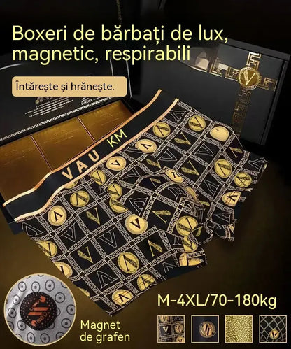 🔥Cumperi 2, primești 2 gratis🔥 Boxeri magnetici de lux pentru bărbați (model 2026)
