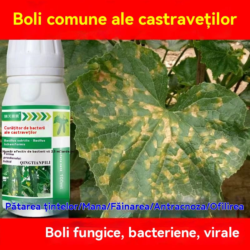🥒🥒【3/6/9 sticle】Fungicid sistemic pentru castraveți – Eficient împotriva bolilor bacteriene, pătării galbene și bolilor foliare