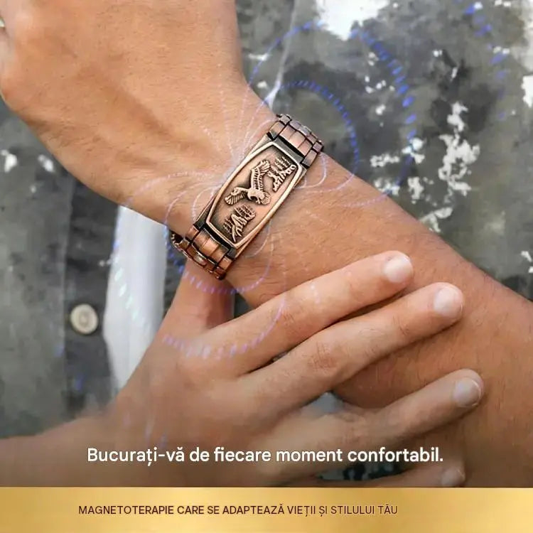 🔥【Brățară + Colier】Brățară magnetică pentru bărbați, cu design de vultur