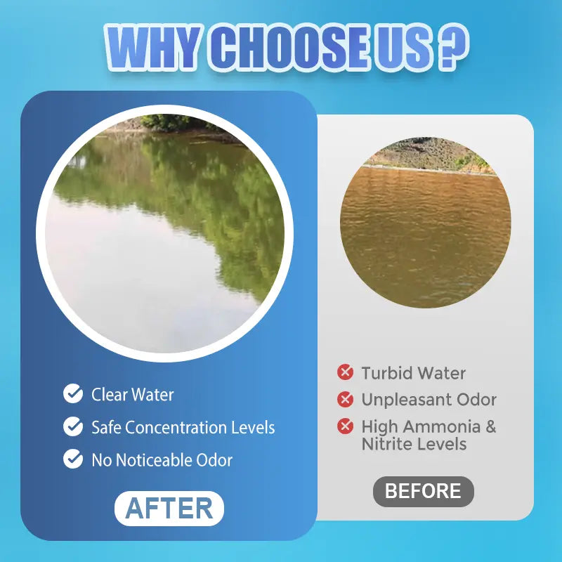 🌊【500g】 Pudră Premium pentru Iaz | Clarificator de Apă și Control al Algelor