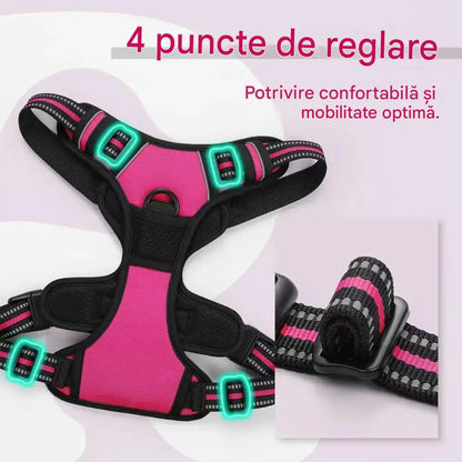 🦮 Lesă pentru câini anti-tragere