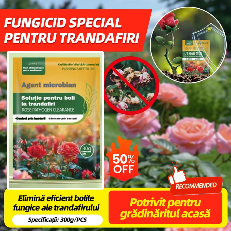 🌹🌹【5/10/20 genți 】Fungicid special pentru trandafiri – elimină eficient bolile fungice ale trandafirului