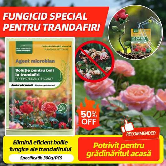 🌹🌹【5/10/20 genți 】Fungicid special pentru trandafiri – elimină eficient bolile fungice ale trandafirului