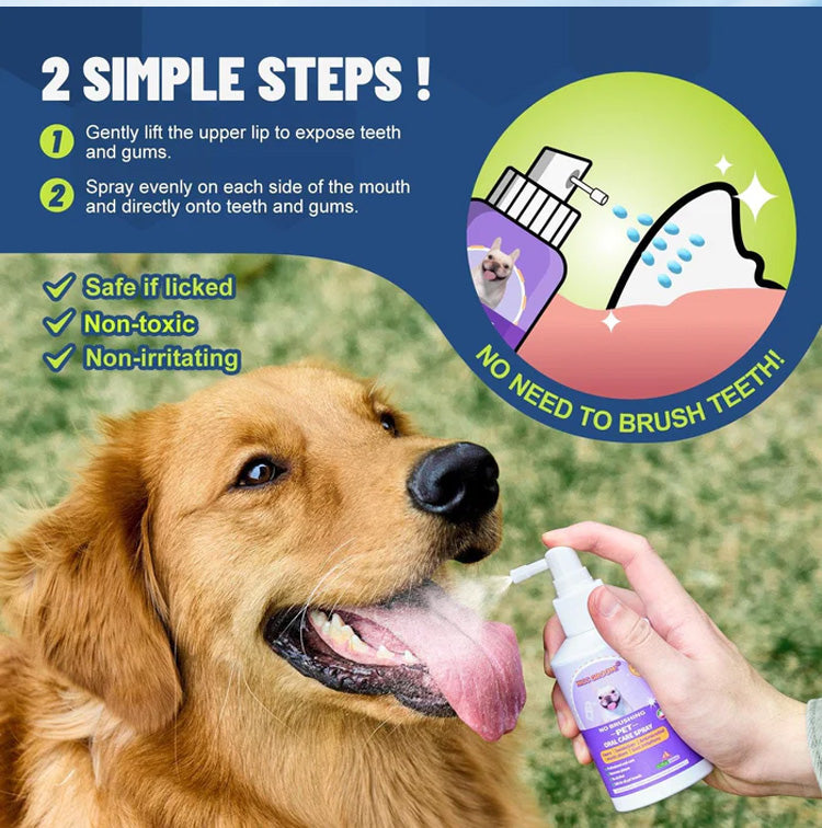 🐶🐱Čisticí sprej na zuby pro psy a kočky s deodorizujícím účinkem 