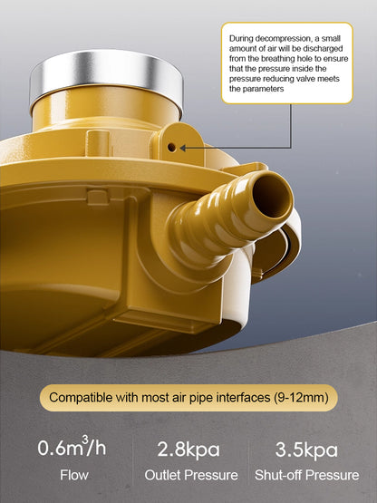 💥🏡【Cumpărați unul și primiți unul gratis】🏡Manometru de presiune a gazului cu protecție împotriva exploziilor și reductor de presiune💥