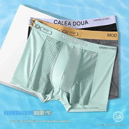 💥👍【Cumperi 3, primești 3 GRATIS】【L–4XL】Boxeri bărbătești din plasă respirabilă Ice Silk