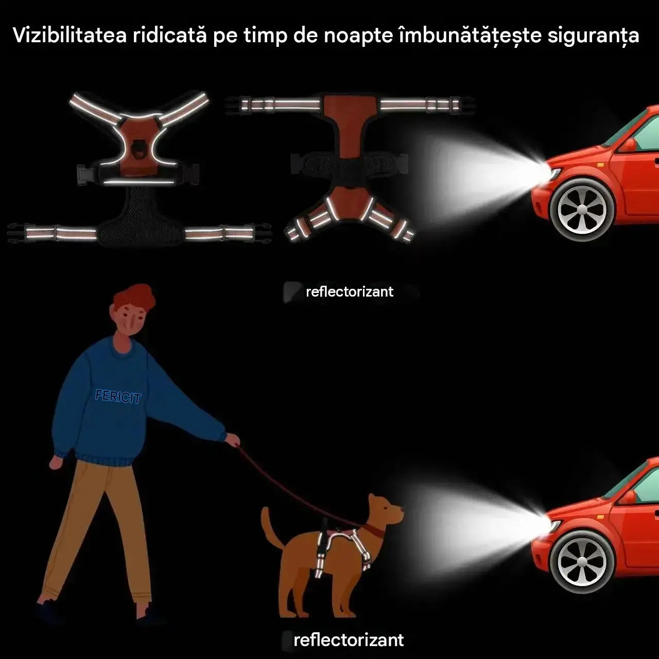 🦮 Lesă pentru câini anti-tragere
