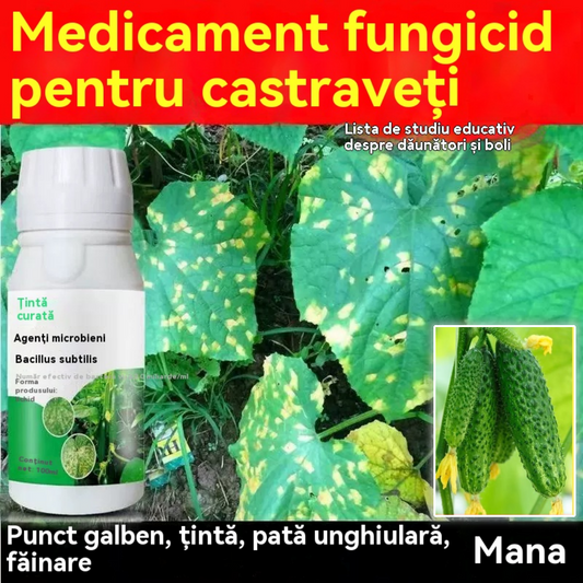 🥒🥒【3/6/9 sticle】Fungicid sistemic pentru castraveți – Eficient împotriva bolilor bacteriene, pătării galbene și bolilor foliare