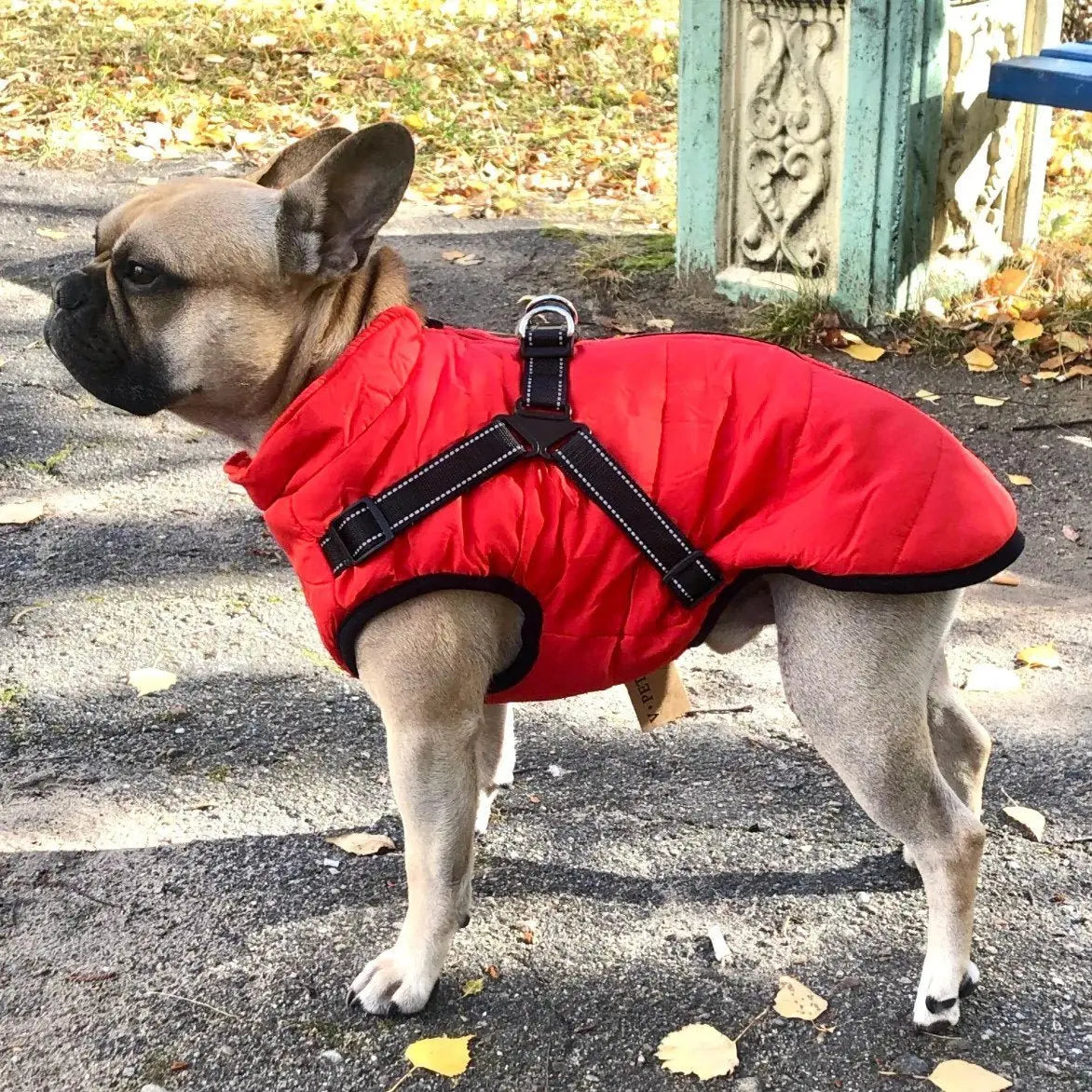 🐶【50% popust 🔥】Jesenska in zimska smučarska oblačila za hišne ljubljenčke, vodoodporna in topla bombažna jakna za pse