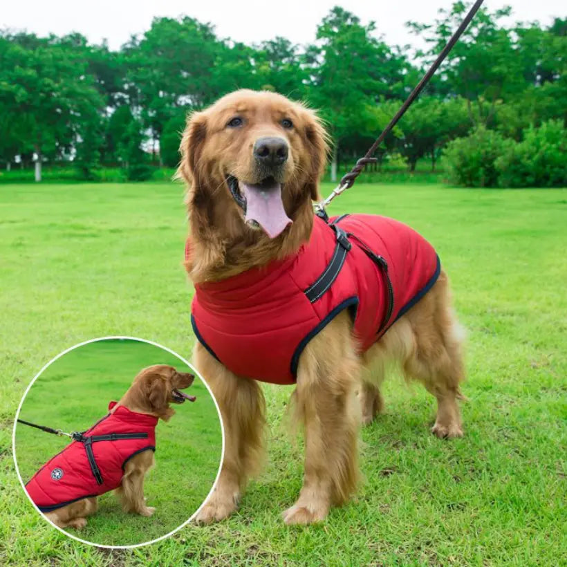 🐶【50% popust 🔥】Jesenska in zimska smučarska oblačila za hišne ljubljenčke, vodoodporna in topla bombažna jakna za pse