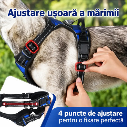 🦮 Lesă pentru câini anti-tragere