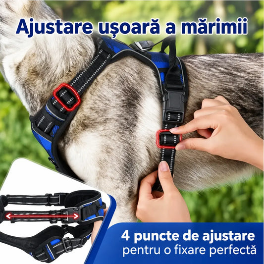 🦮 Lesă pentru câini anti-tragere