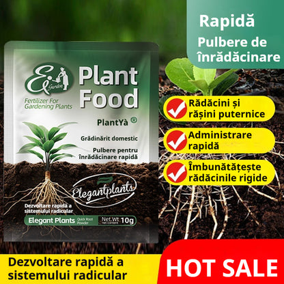 🔥🌱【10/20/30pungi】🌱Pudră pentru înrădăcinare rapidă – stimulator de rădăcini pentru pomi, răsaduri și flori