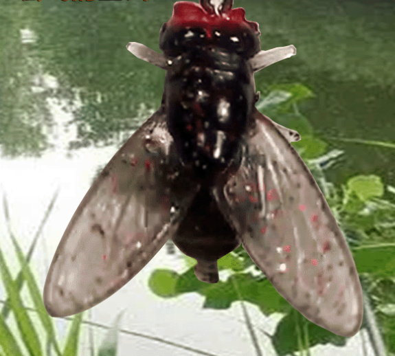 【Ofertă specială】Momeală bionică pentru muște (20 bucăți)