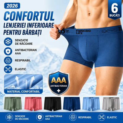 🔥【Set de 6 bucăți】🧊🩲 Lenjerie bărbătească 2026 din mătase rece, ultra-subțire, respirabilă, antibacteriană, cu protecție, calitate AAA