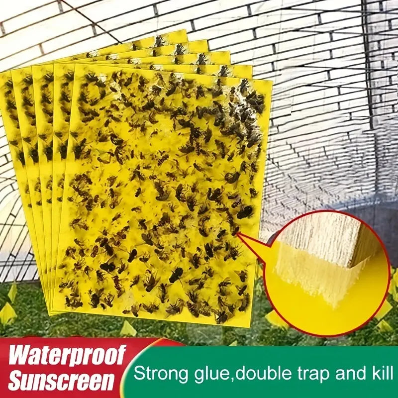 📢💥【20 de coli】Hârtie lipicioasă cu două fețe galbene pentru insecte, autocolante pentru prinderea insectelor de câmp de grădină de legume agricole