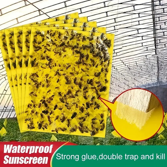 📢💥【20 de coli】Hârtie lipicioasă cu două fețe galbene pentru insecte, autocolante pentru prinderea insectelor de câmp de grădină de legume agricole