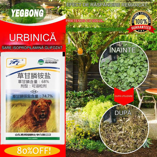🔥【Cumpărați 1, primiți 2 gratuit】 Fosfatul uscat de amoniu glifosat ucide și previne toate tipurile de buruieni, cățărători și viță de vie