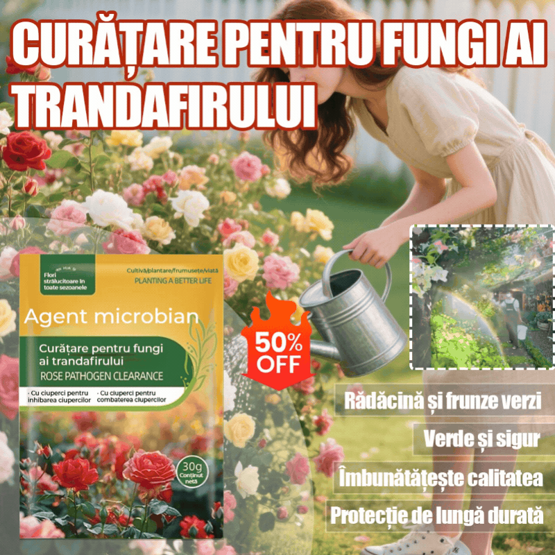 🌹🌹【5/10/20 genți 】Fungicid special pentru trandafiri – elimină eficient bolile fungice ale trandafirului