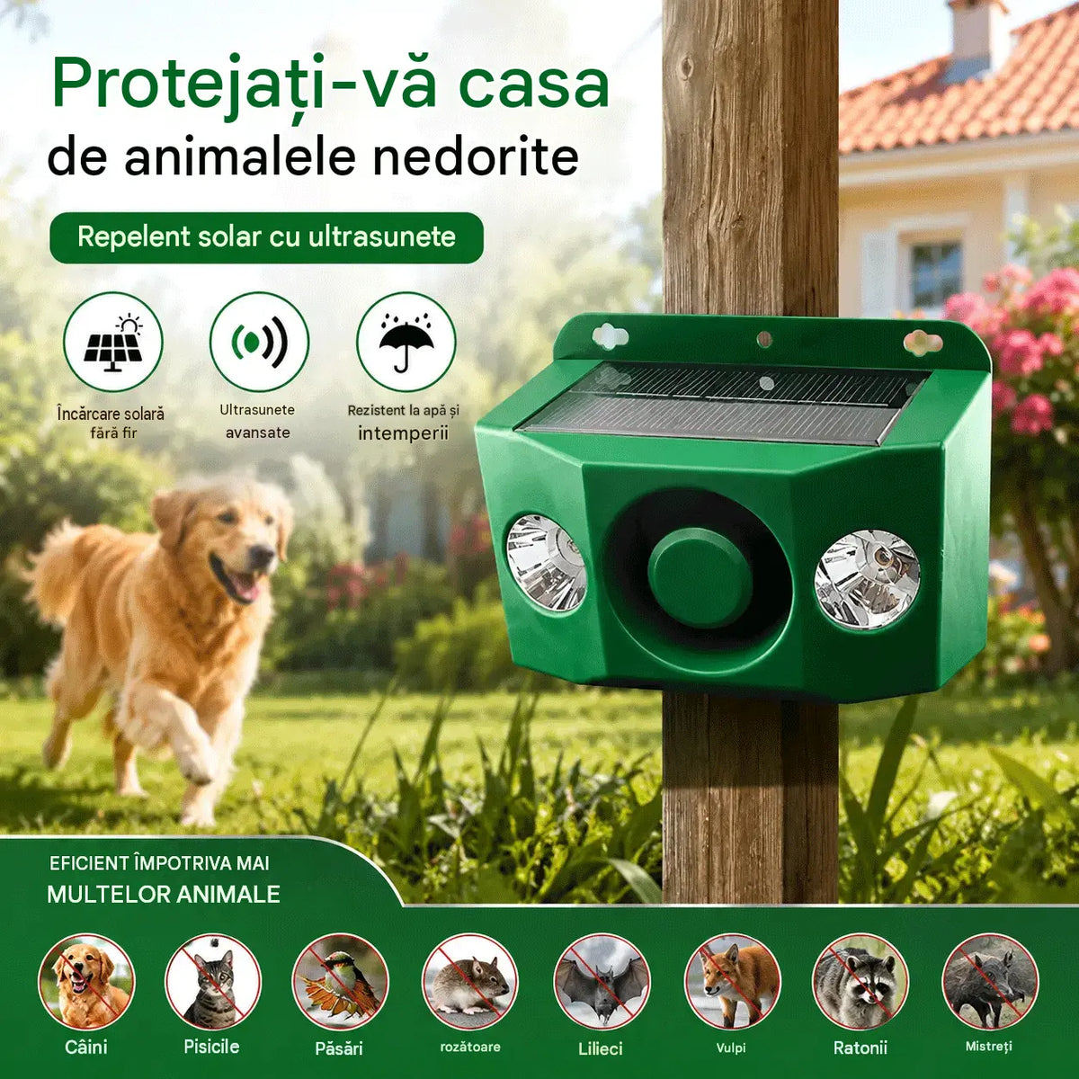🔥【50% REDUCERE】🐅Dispozitiv cu ultrasunete pentru alungarea animalelor sălbatice, alimentat solar