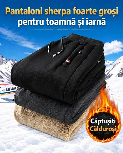🔥【M–5XL】Pantaloni de trening de iarnă pentru bărbați, model 2026, cu căptușeală groasă tip Sherpa – călduroși și confortabili (40–120 kg)