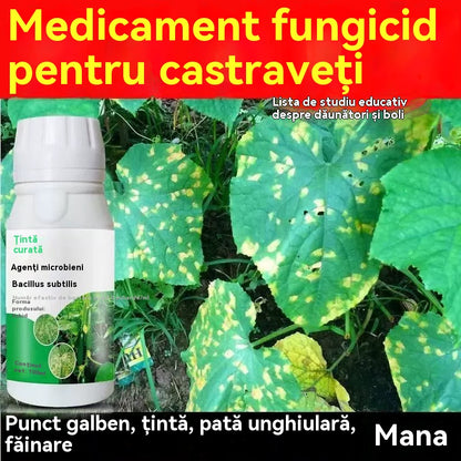 🥒🥒【3/6/9 sticle】Fungicid sistemic pentru castraveți – Eficient împotriva bolilor bacteriene, pătării galbene și bolilor foliare